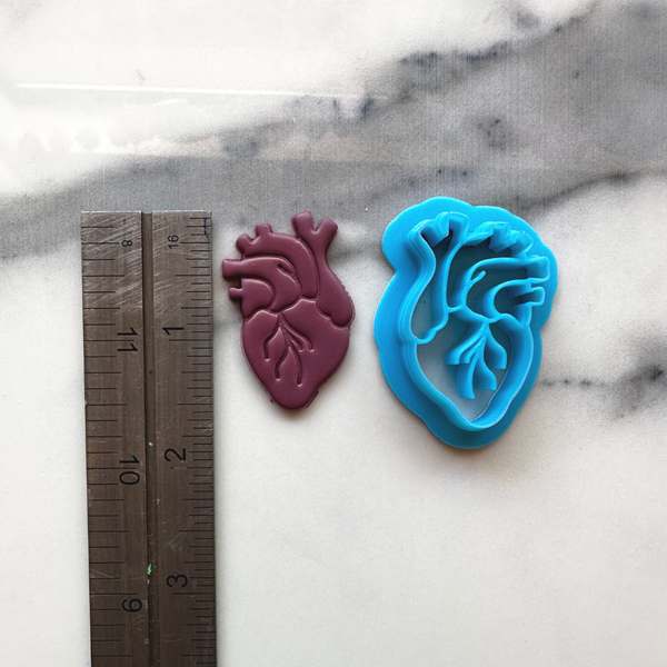 084 - Anatomical Heart