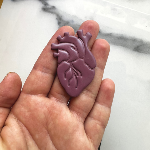 084 - Anatomical Heart