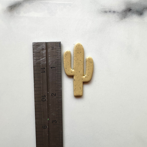 082 - Saguaro Cactus