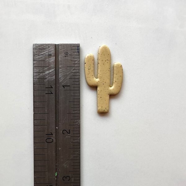 082 - Saguaro Cactus